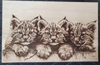 Wildlife Scenery