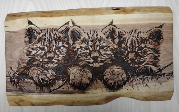 IMG 20250210 232558411~2