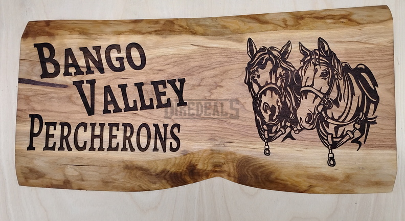 IMG 20250110 121907189~2