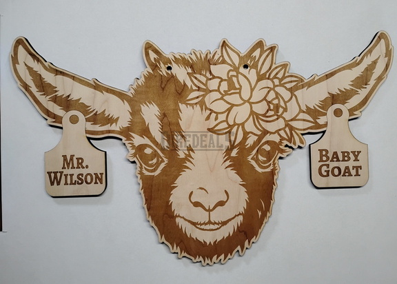 IMG 20240820 110107836~2