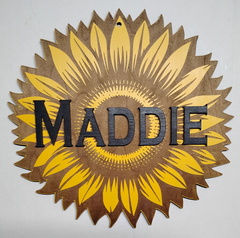 IMG 20240827 205512370~2