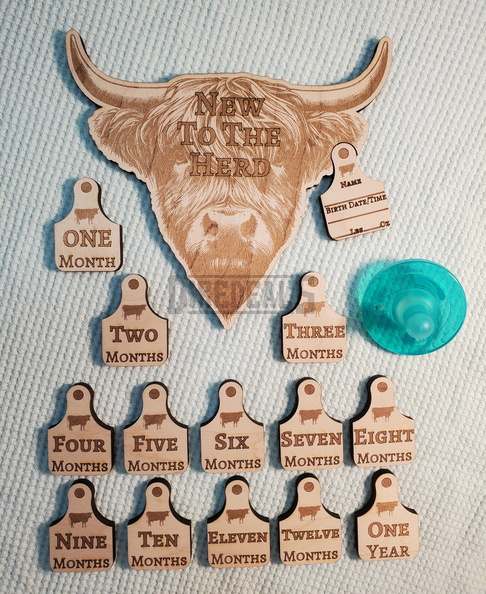 20240326_124219.jpg