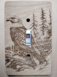 IMG 20250510 200830699