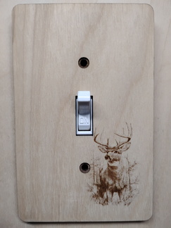 IMG 20250512 203002923