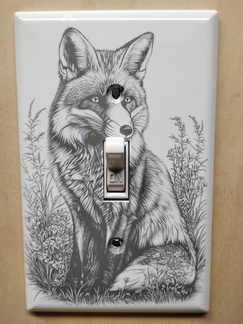 IMG 20250516 105634537