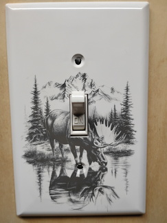 IMG 20250516 105733385