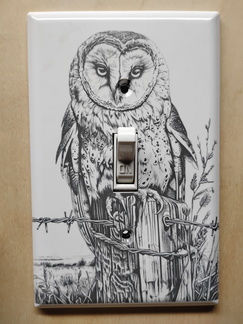 IMG 20250516 111823319