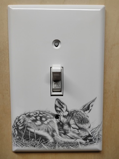 IMG 20250516 114053799