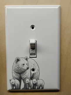 IMG 20250516 124954243