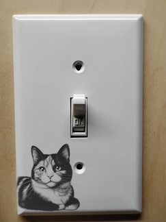 IMG 20250516 125745445