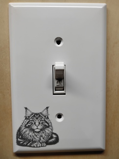 IMG 20250516 130244333