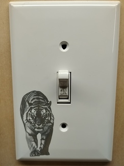 IMG 20250521 171814761