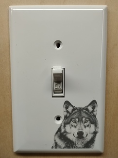 IMG 20250521 173155063