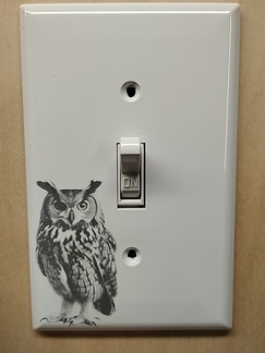 IMG 20250521 174319645