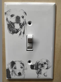 IMG 20250522 093548403 HDR