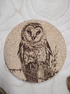 IMG 20250606 154137623