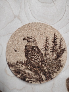 IMG 20250606 154246861