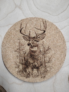 IMG 20250606 154337533