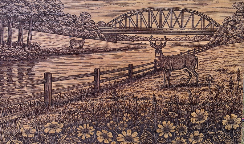20250920_130810.jpg